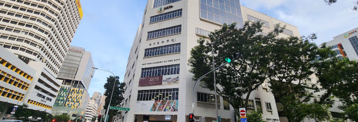 Nanyang Academy of Fine Arts (NAFA)