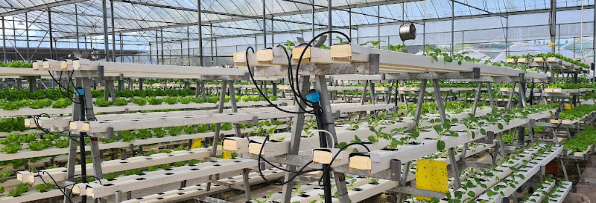 Kok Fah Technology Farm Pte Ltd