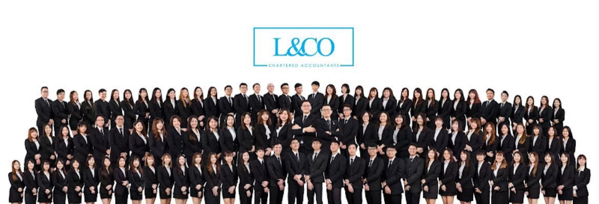 Accountant & Auditor Johor – L & Co. Plt.