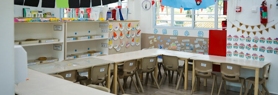 Little Seeds Preschool (TSA – Tampines)