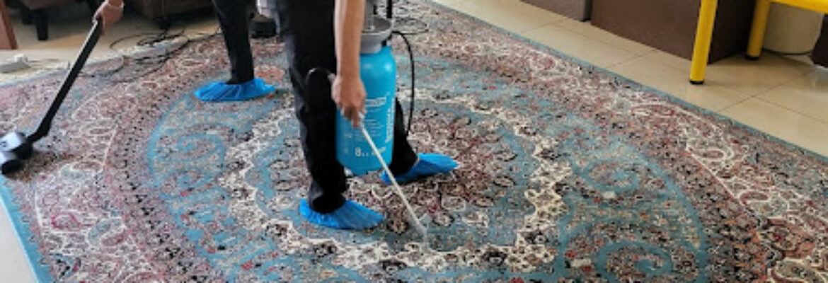 Choochii Expert Cleaning Service