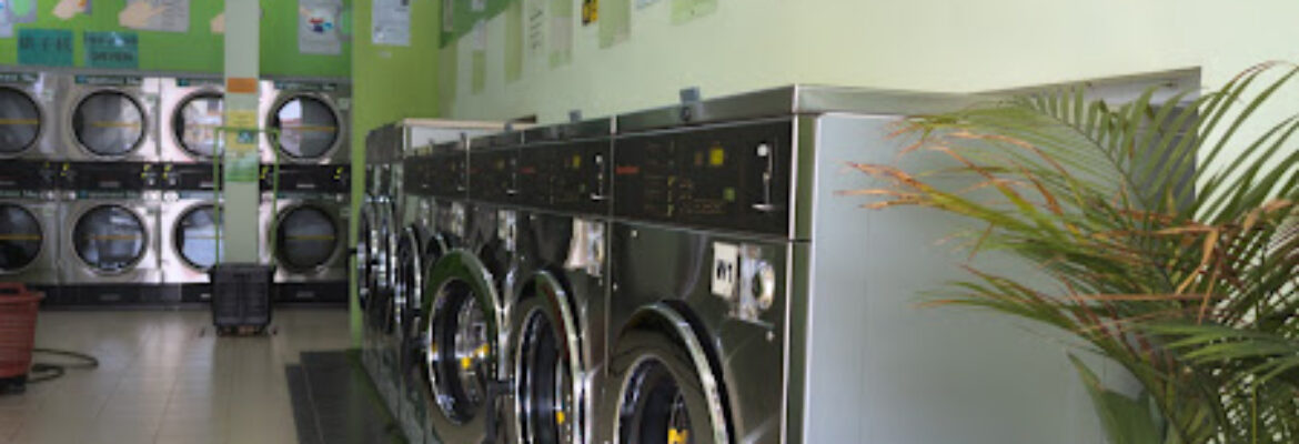 Washaus Laundry Services