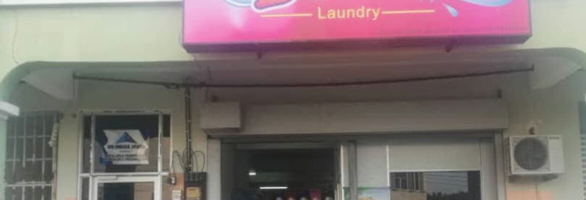 DEE M LAUNDRY