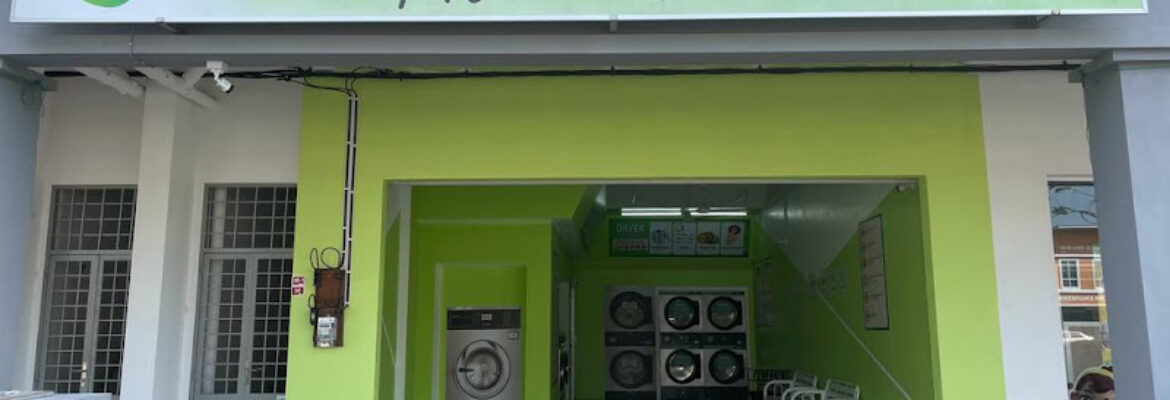 DOBI- Green Apple Laundry