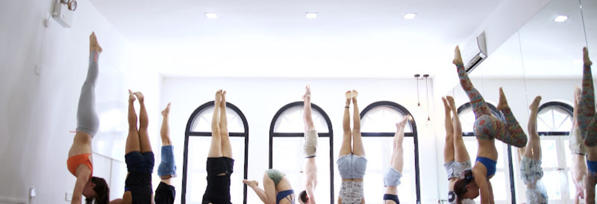 The Yoga Mandala