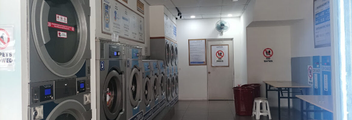 Greenwash Laundrette