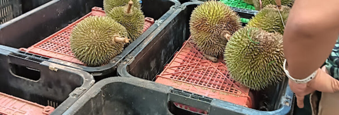 9932 Durian Stall