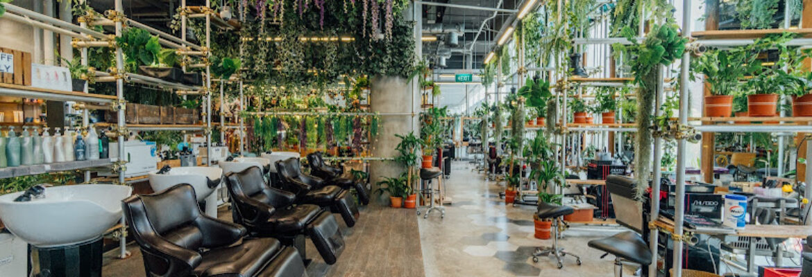 Walking On Sunshine – Korean Hair Salon & Cafe