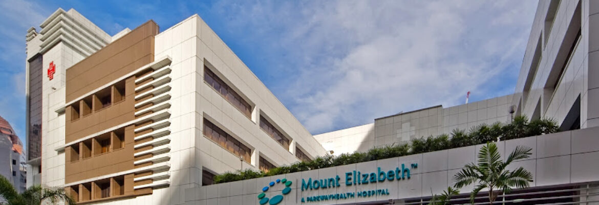 Mount Elizabeth Hospital