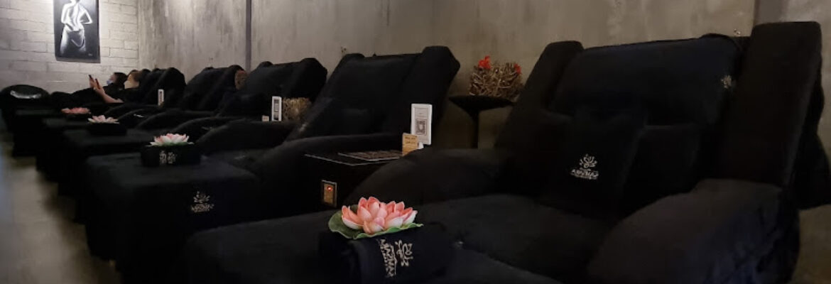 Samsara Wellness