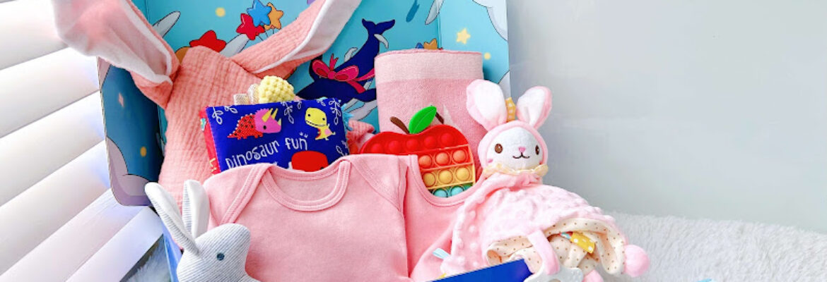 Blissbies SG – Newborn baby gifts & baby hampers