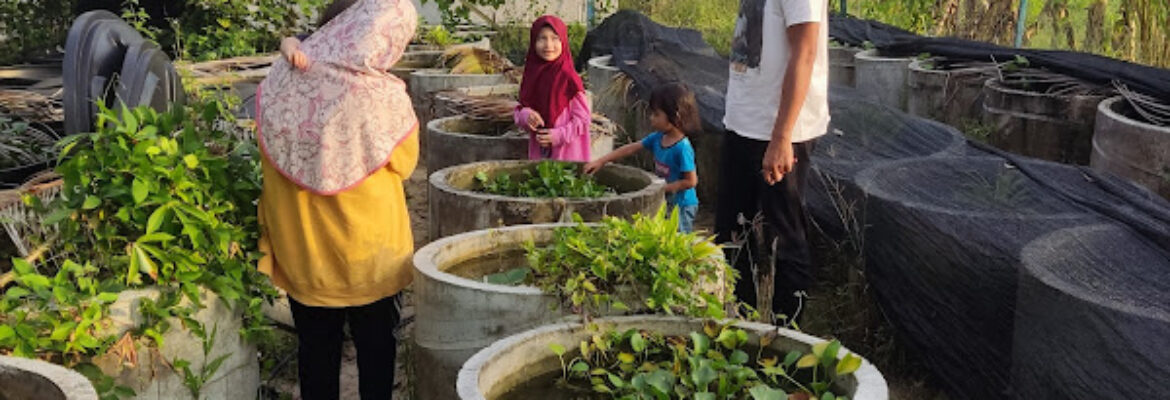 Ladang guppy perlis