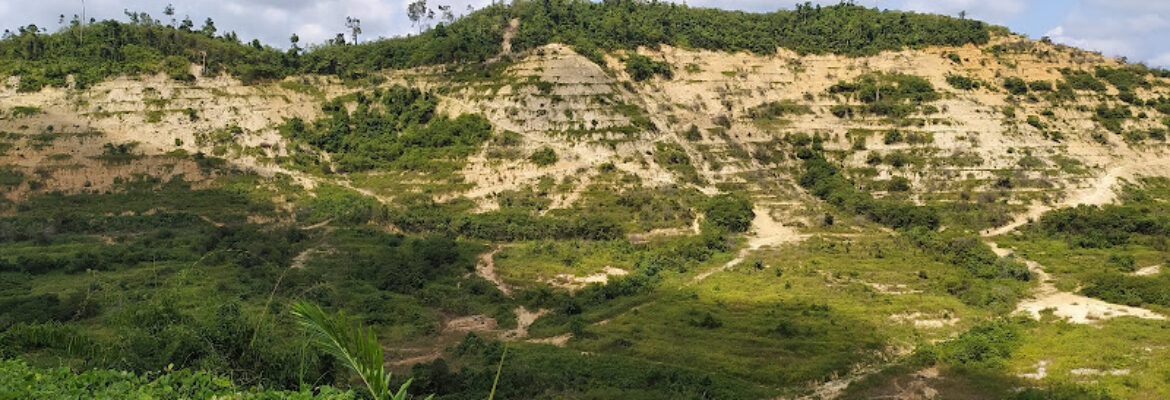 Ladang Tembeling