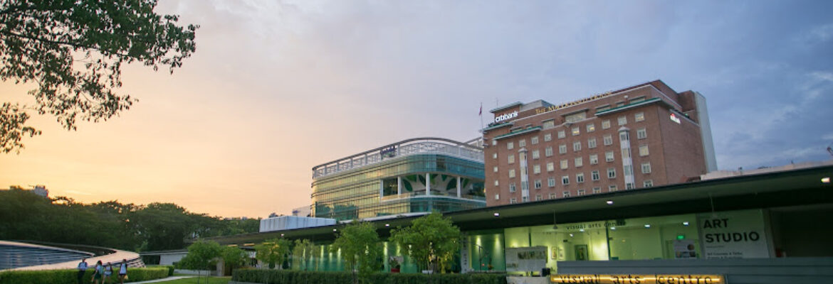 Visual Arts Centre （新加坡）视觉艺术中心