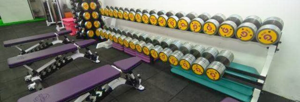 Genesis Gym