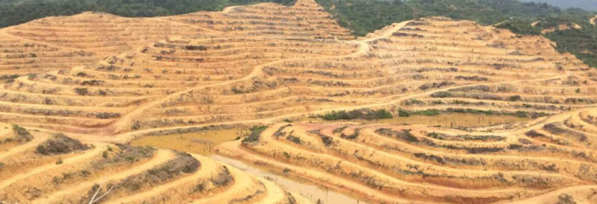 Ladang FIMA Bunga TANJONG