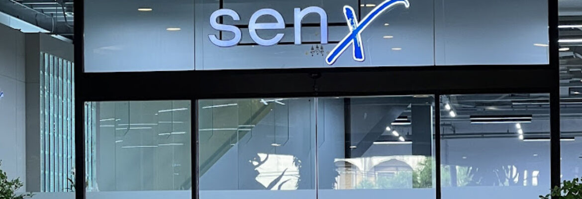 Sen X Property Services