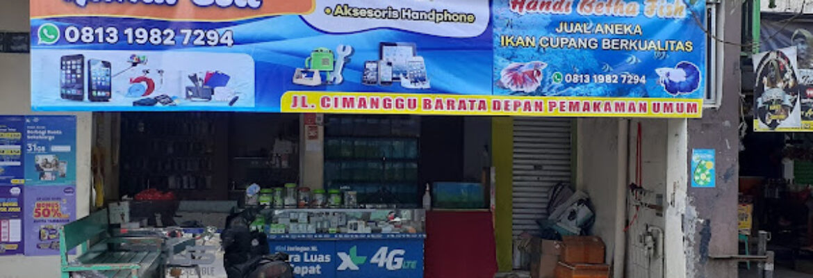 Handi Cell,service hp iphone &android acesories hp bogor