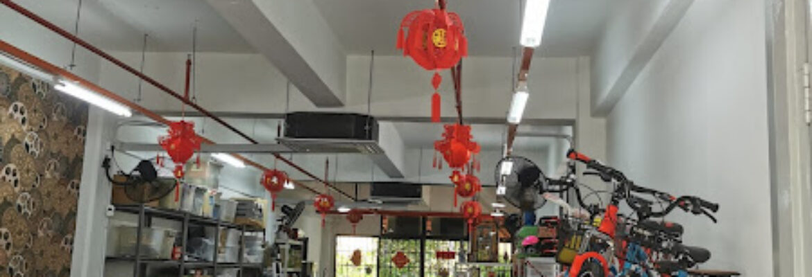 Hong Seng Guan Bicycle Shop (HSG Bicycle)