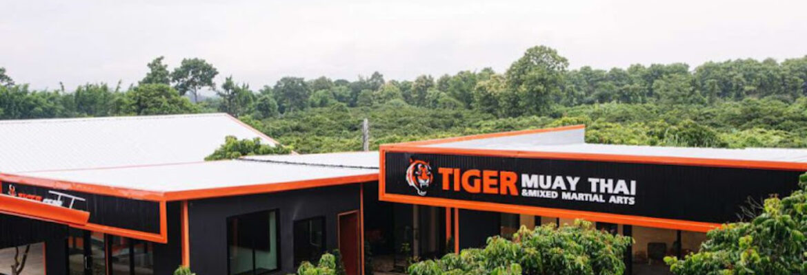 Tiger Muay Thai School & Training Camp