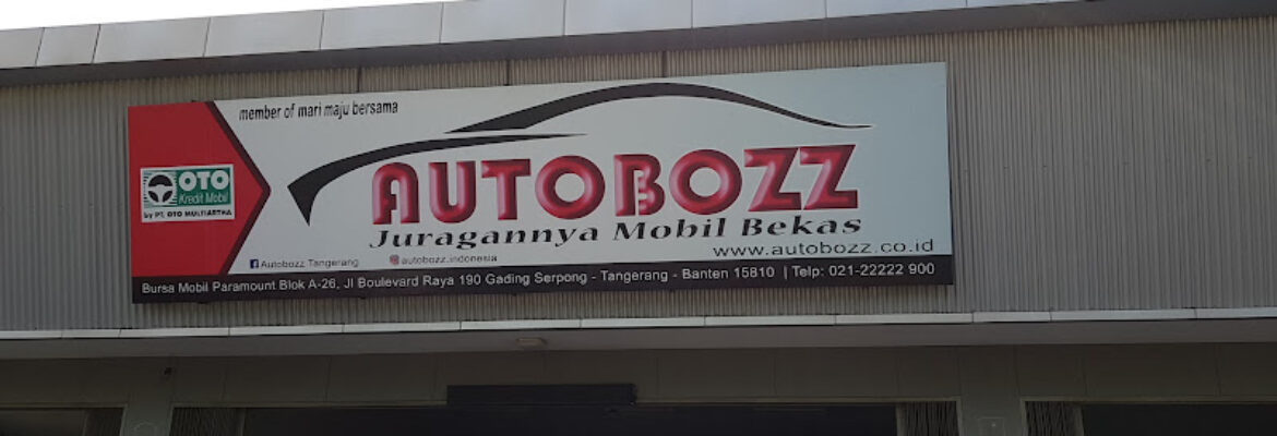 Auto Bozz