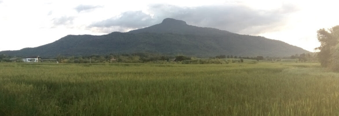 Phu Luang Hospital