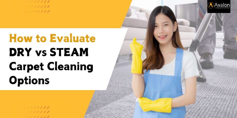 Avalon Services